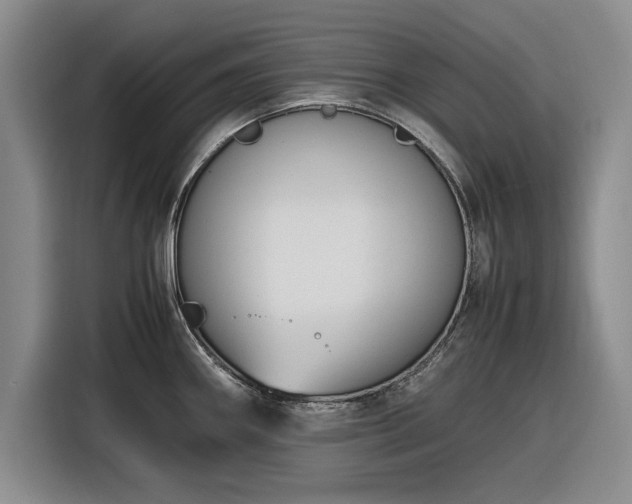 X0000116261290200912071015