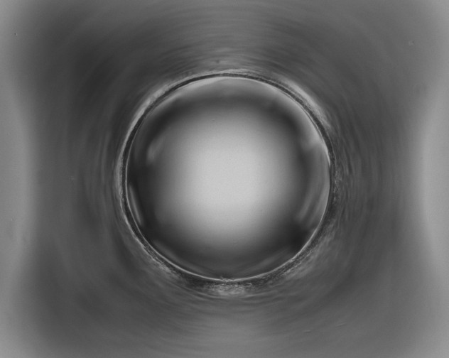 X0000116261291200912071015