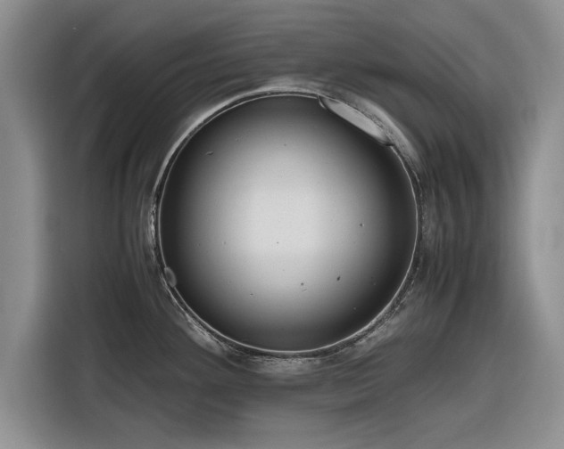 X0000116261292200912071015