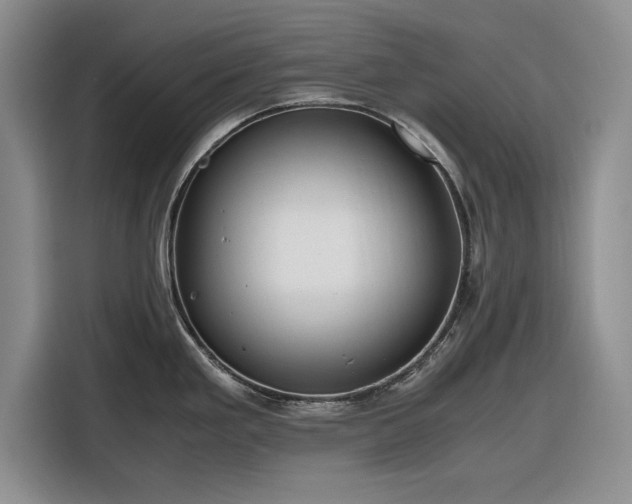 X0000116261293200912071015