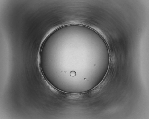 X0000116261294200912071015