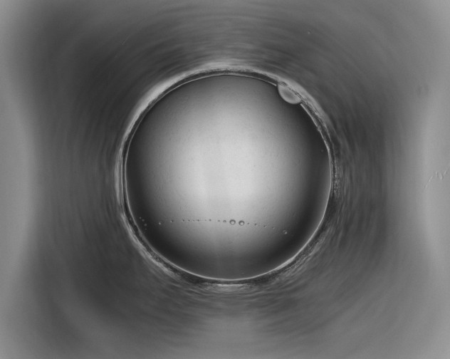 X0000116261295200912071015