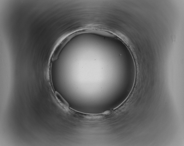 X0000116261296200912071015