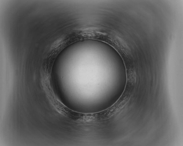 X0000116261297200912071014