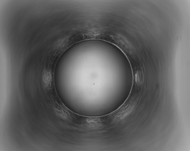 X0000116261299200912071014