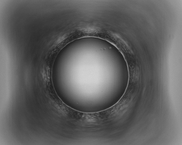 X0000116261301200912071014