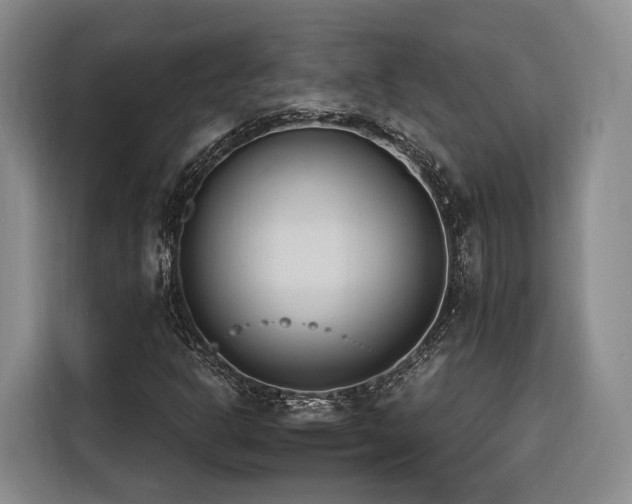 X0000116261302200912071014