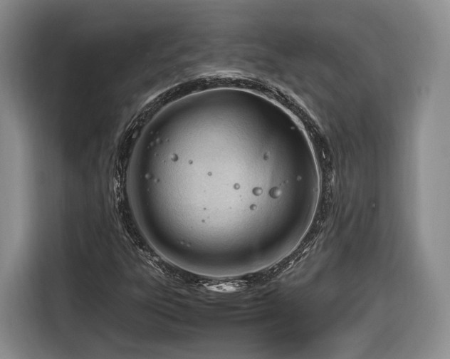 X0000116261303200912071014