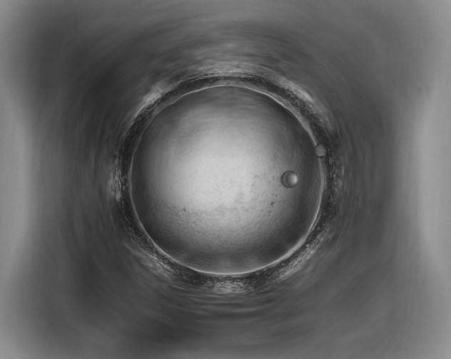 X0000116261306200912071014