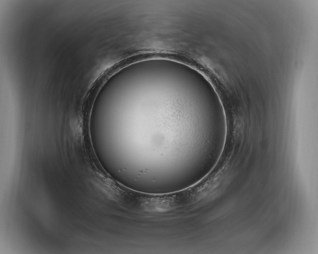 X0000116261307200912071014