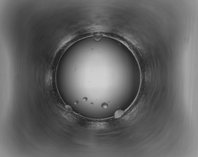 X0000116261309200912071014