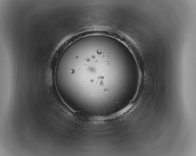 X0000116261310200912071014