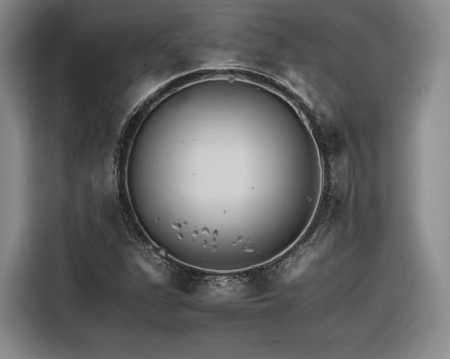 X0000116261311200912071014