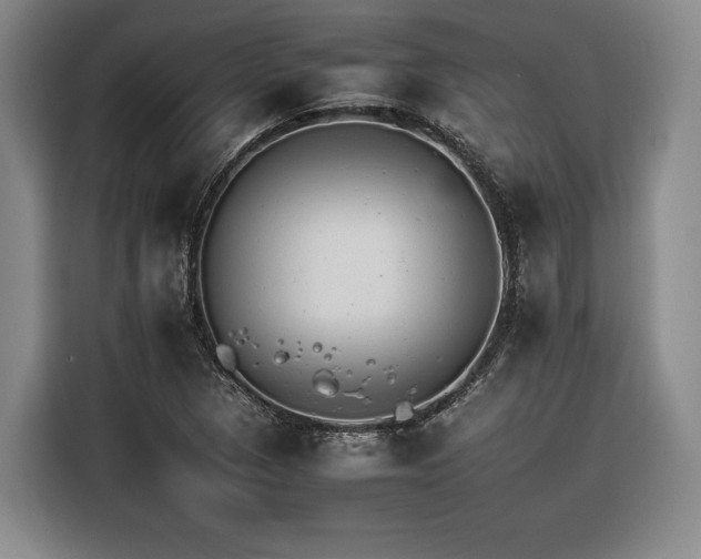 X0000116261313200912071014