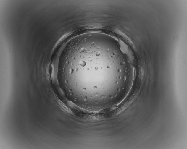 X0000116261314200912071014