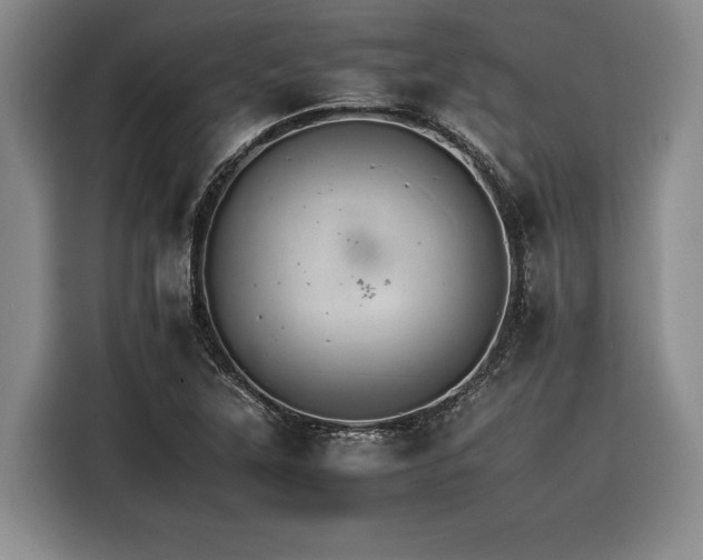 X0000116261315200912071014