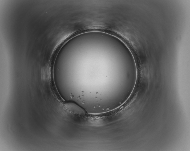 X0000116261317200912071014
