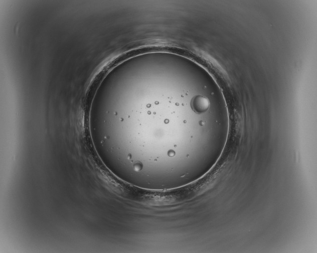 X0000116261318200912071014