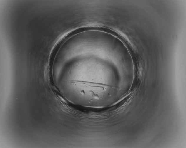 X0000116261319200912071014