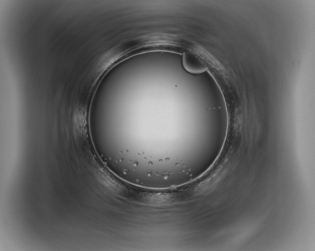 X0000116261321200912071014