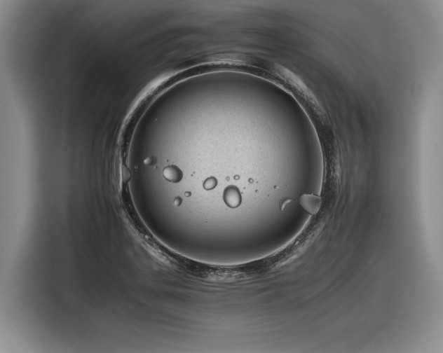 X0000116261323200912071014