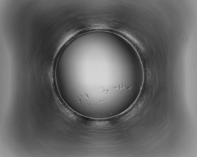 X0000116261325200912071014