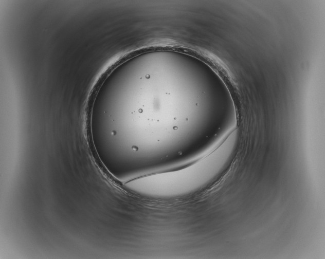 X0000116261326200912071014