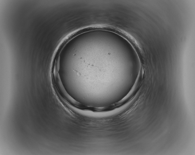 X0000116261327200912071014