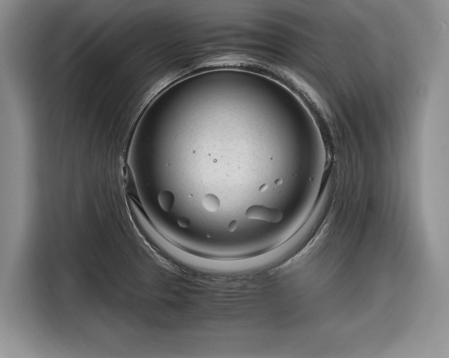 X0000116261329200912071014