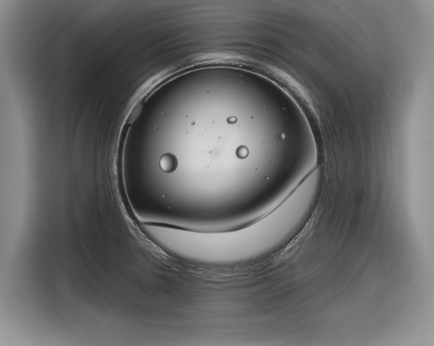 X0000116261330200912071014