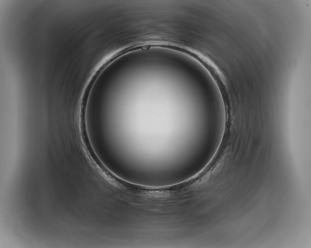 X0000116261333200912071014