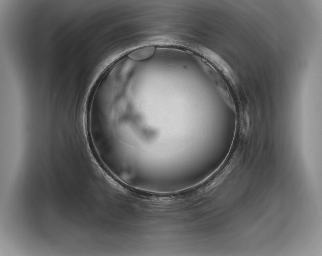 X0000116261334200912071014