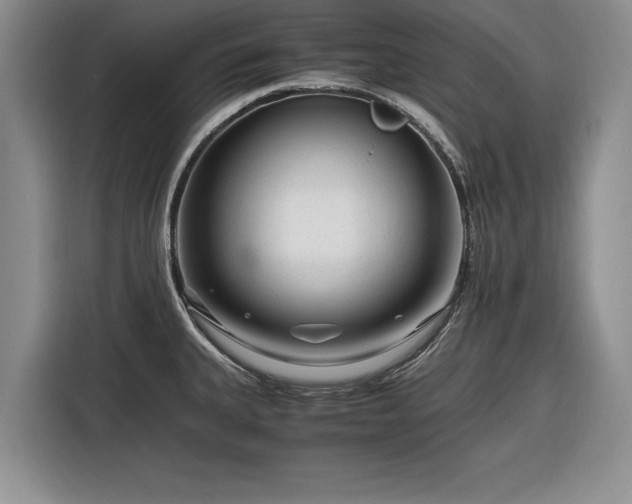 X0000116261335200912071014