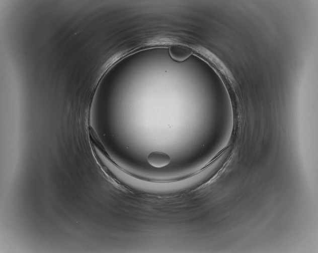X0000116261337200912071015