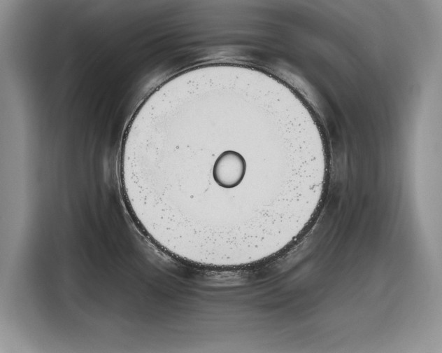 X0000116261338200912071015