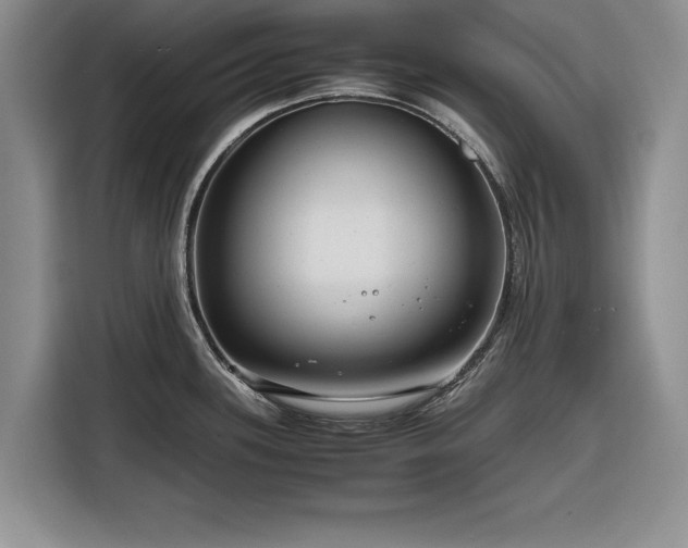 X0000116261339200912071015