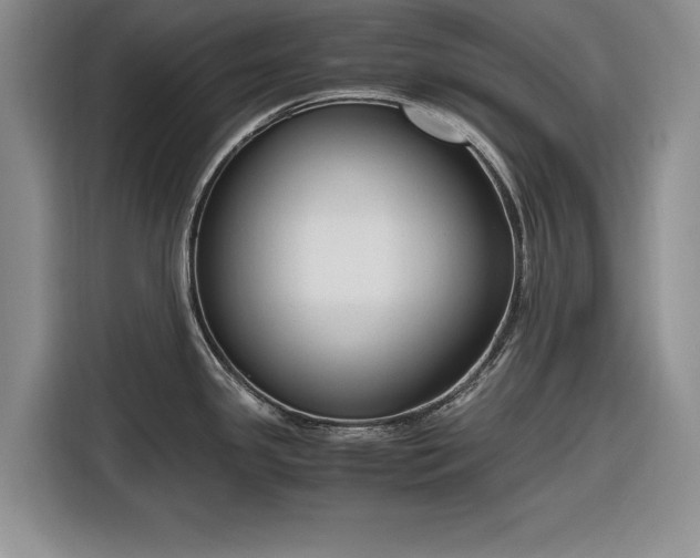 X0000116261341200912071015