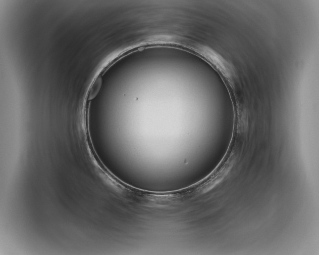 X0000116261342200912071015