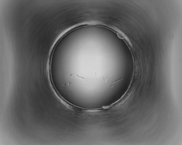 X0000116261343200912071015