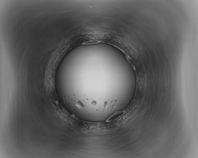 X0000116261345200912071014