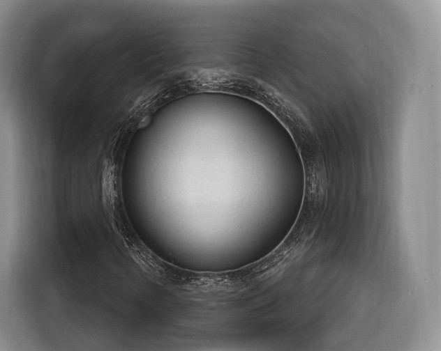 X0000116261346200912071014