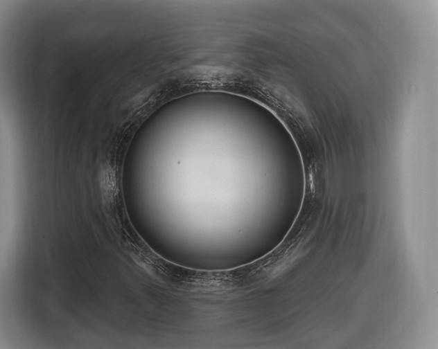 X0000116261347200912071014