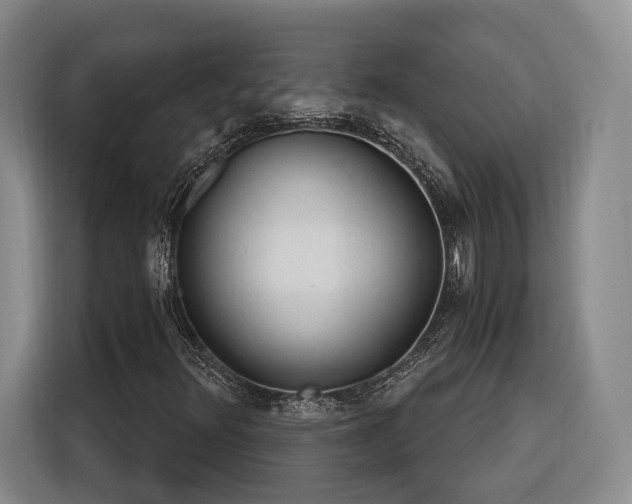 X0000116261348200912071014