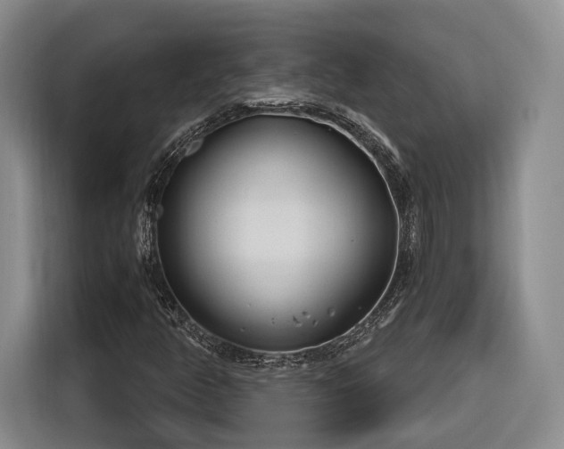 X0000116261350200912071014