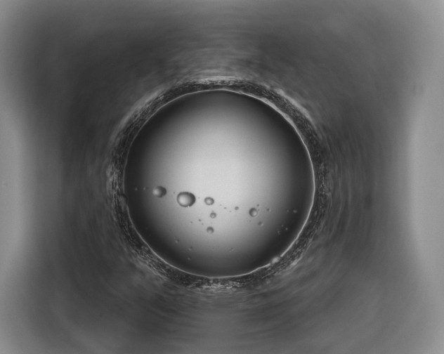 X0000116261351200912071014