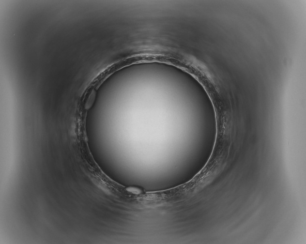 X0000116261352200912071014