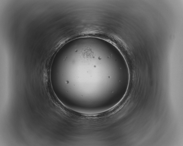 X0000116261353200912071014