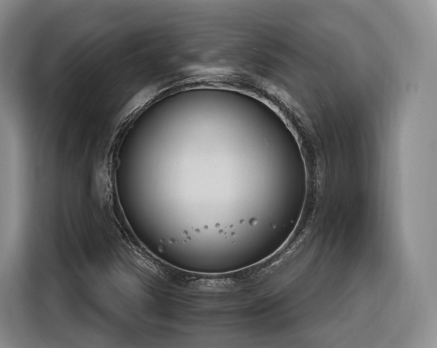 X0000116261354200912071014