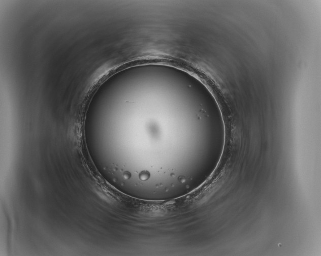 X0000116261355200912071014