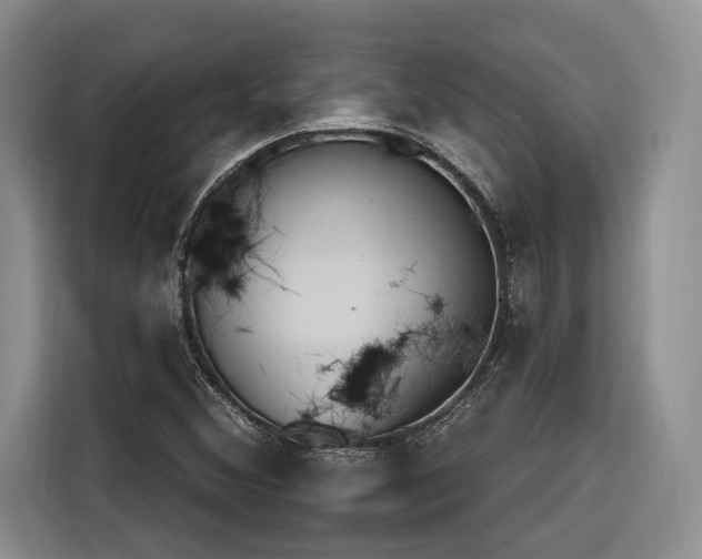 X0000116261356200912071014